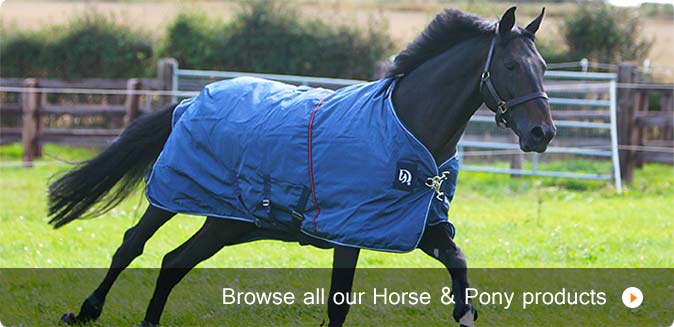 Horse and pony products