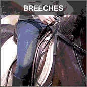 Breeches