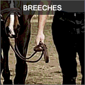 Breeches