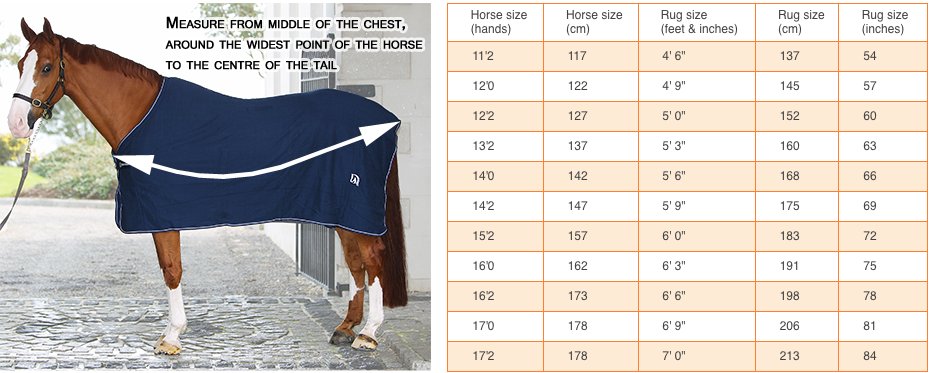 Horse and pony size guide