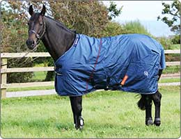 Stable rugs and stable sheets